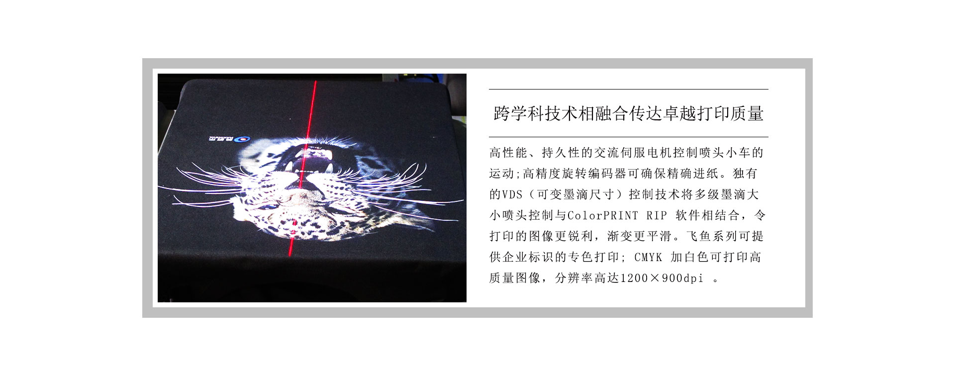 飛魚（T恤/裁片）數(shù)碼印花機(jī)